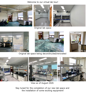 the progress of our lab renovations 이미지